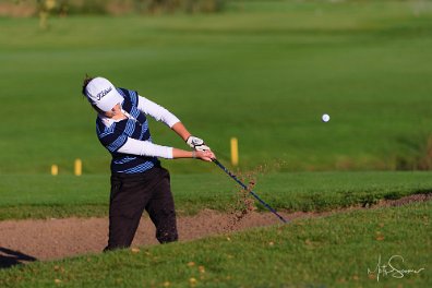 Eesti Meistrivõistlused löögimängus 2012 Niitvälja Golfiväljakul