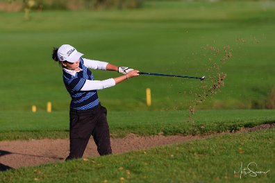 Eesti Meistrivõistlused löögimängus 2012 Niitvälja Golfiväljakul