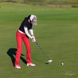 Eesti Meistrivõistlused löögimängus 2012 Niitvälja Golfiväljakul