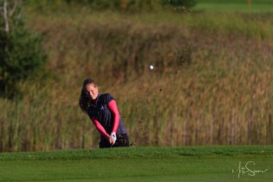 Eesti Meistrivõistlused löögimängus 2012 Niitvälja Golfiväljakul