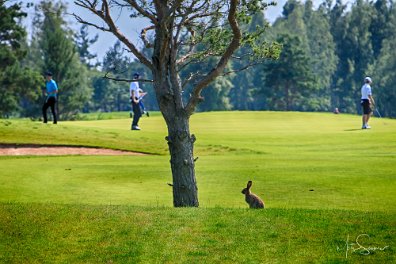 Estonian Amateur Open 2012